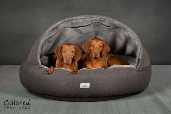 Collared Creatures Grey Deluxe Comfort Cocoon Dog Cave Bed xl