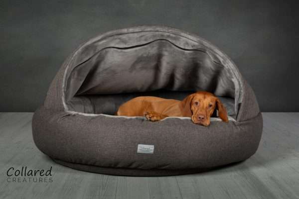Collared Creatures Grey Deluxe Comfort Cocoon Dog Cave Bed with Saffie