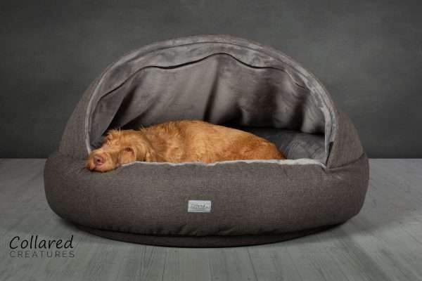 Collared Creatures Grey Deluxe Comfort Cocoon Dog Cave Bed with Evie