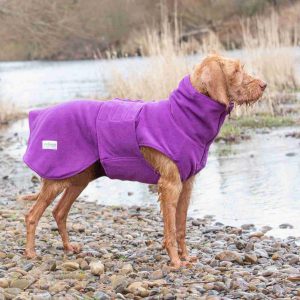 Vizsla at the side of a river with a collared creatures dog drying coat on