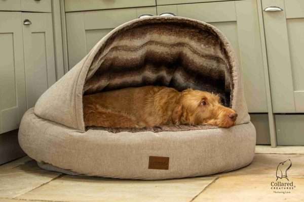 The luxury Collared Creatures Beige Deluxe Comfort Cocoon Dog Cave Bed xl