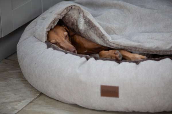 Vizsla in luxury cocoon dog cave bed by collared creatures