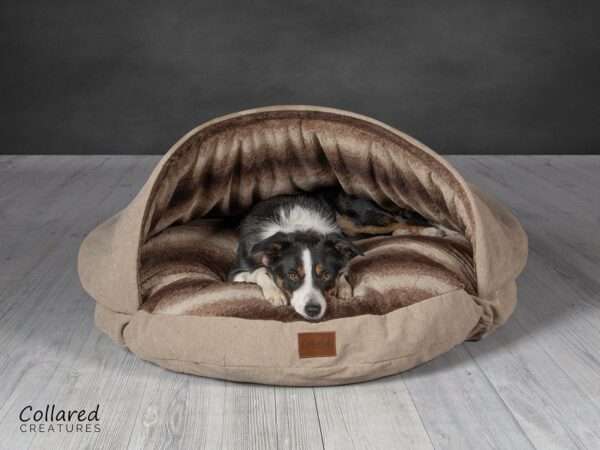 Tess the collie lied down relaxing in a collared creatures luxury beige cave bed