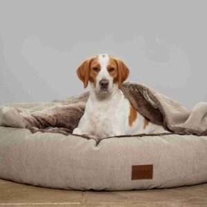 tan & white beagle sat in collared creatures luxury cocoon dog cave bed