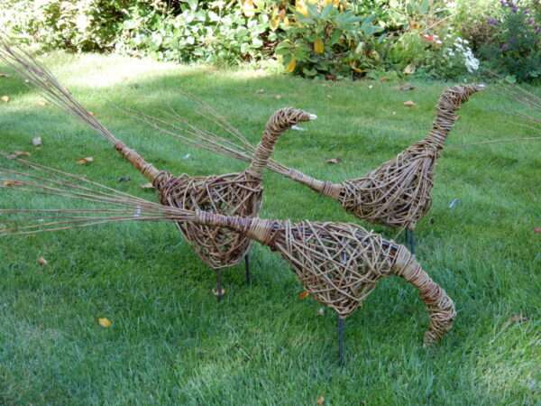 Three pheasants 1 Willow pheasant available with heads up, down and with additional wing detail. Pheasants sold separately, or can be purchased in multiples as shown. <span style="font-weight: 400">Each of our products are handcrafted individual sculptures, which results in unique pieces, with slight differences between them.</span> <span style="font-weight: 400">Our sculptures are made to order and typically take between 2 - 4 weeks to complete. During busy periods, this may take longer, we will advise you by email if this is likely to be the case.</span> <strong>Price includes delivery to the United Kingdom.</strong>