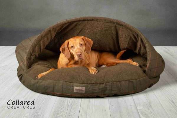 Collared Creatures Green Tweed Classic Dog Cave bed large