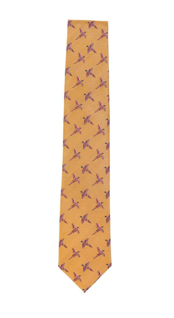 Bonart Clothing Silk Pheasant Tie GOLD