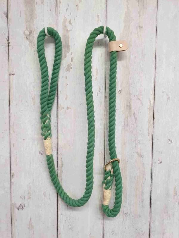 Collared Creatures Pale Green Ombre Dip Dyed Dog slip lead