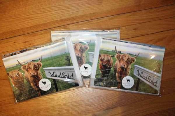 IMG 8138 scaled Each Pack of 10 greeting cards feature lovely pictures of the farm animals of Windfold Farm. Free Postage & Packaging  