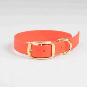 Collared Creatures Neon Orange waterproof dog collar