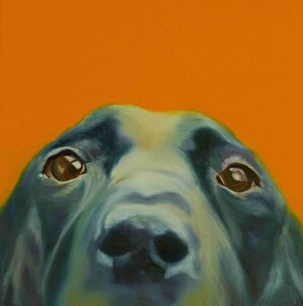 labrador30x30deepwhite scaled Good quality canvas print of a Labrador dog painting, stretched on a deep canvas frame, The edges of the canvas are white. Free postage in the UK.