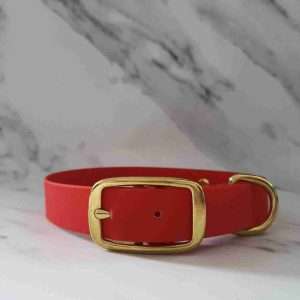Collared Creatures Red Waterproof Dog Collar
