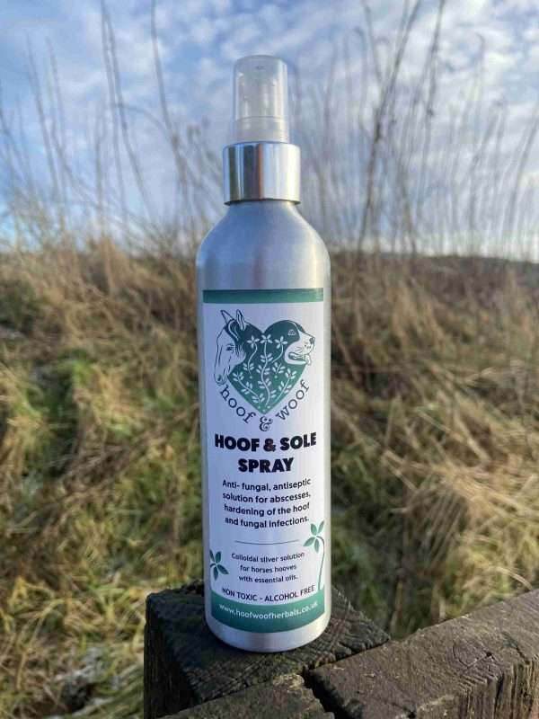 Hoof & Sole Spray with Colloidal Silver