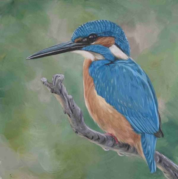 fullsizeoutput 304a scaled Kingfisher original painting acrylic on canvas