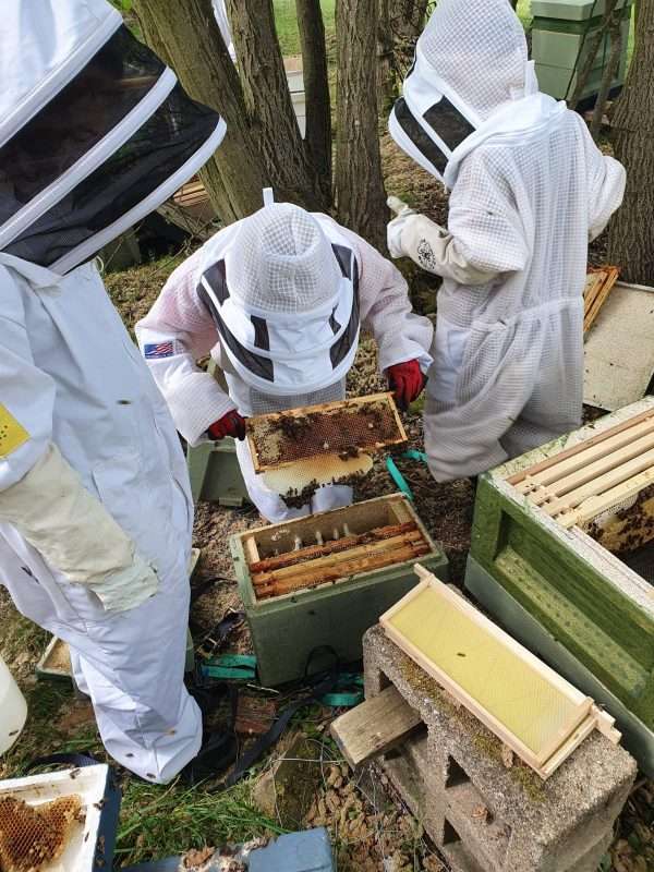 100620025 581820166086062 3748120154223935488 o Take delight in an extraordinary beekeeping experience for one with More Bees Please Based in Sheffield. This experience is perfect for those wanting to discover more about these fascinating insects. During your three-hour remarkable experience, enjoy an introduction to beekeeping, and learn the history behind our company.