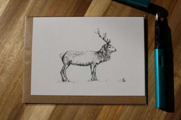 Glencoe Stag Greeting Card - Front
