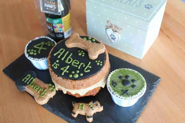 Dog Birthday Boy Cake