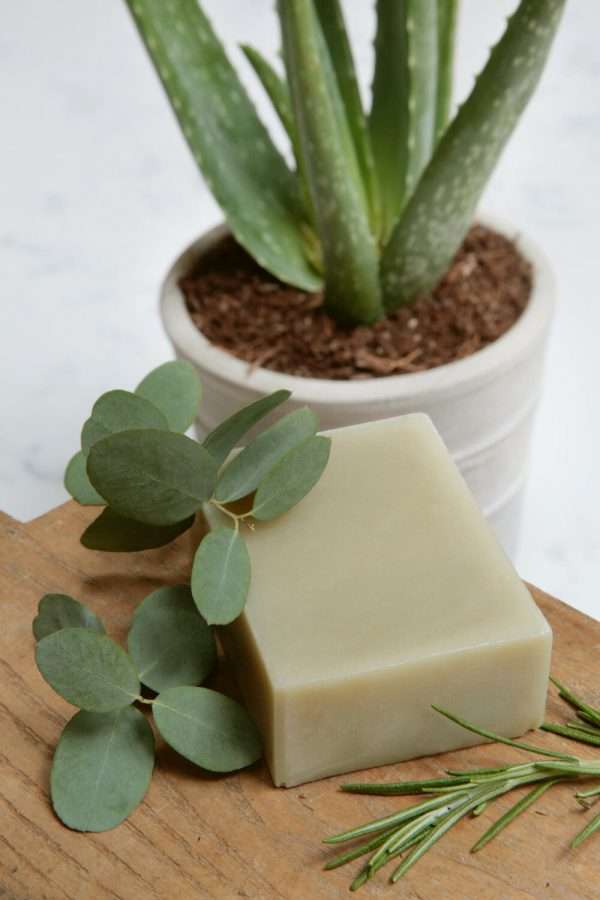 aloe vera soap penlanlas cymru FROM 1.50
A deeply cleansing, naturally antiseptic and moisturising soap with a subtle blend of Tea Tree, Eucalyptus, Bergamot and Rosemary pure essential oils. Aloe Vera is renowned for reducing inflammation in skin problems and is naturally antimicrobial, helps to soothe, hydrate and nourish the skin. French green clay is added for its skin detoxifying, purifiying, cleansing and exfoliating properties, helping to soften the skin.