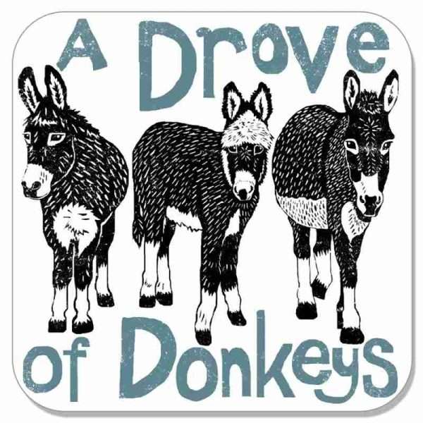 J2CN20C donkeys coaster web e1628507873753 Delightful & educational coasters, featuring the collective name of a group of each species.