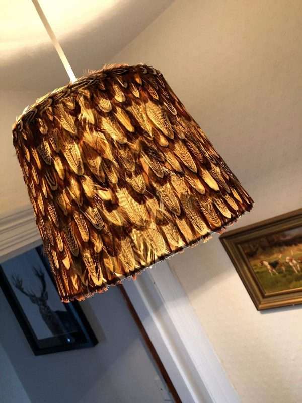 Beautiful hand crafted Ring Neck pheasant cock bird feather lampshade Approx 18cm High x 25cm Wide at the bottom.