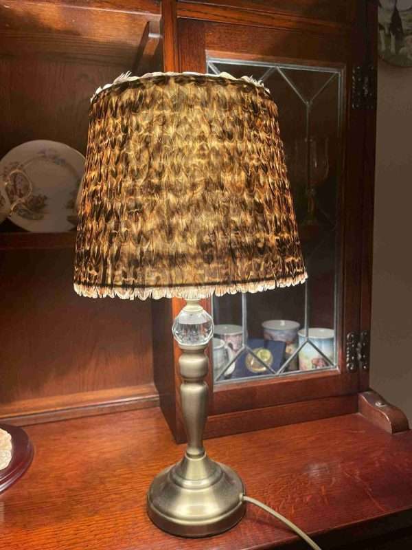 il fullxfull.3032609140 38n4 scaled Beautiful hand crafted Ring Neck pheasant hen bird feather lampshade Approx 18cm High x 25cm Wide at the bottom. Once lit the feathers take on a different look and create a stunning look.