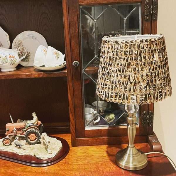 Beautiful hand crafted Ring Neck pheasant hen bird feather lampshade Approx 18cm High x 25cm Wide at the bottom. Once lit the feathers take on a different look and create a stunning look.