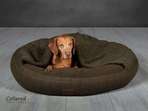Collared Creatures Green Tweed Classic Comfort Cocoon Dog Bed with Ruby