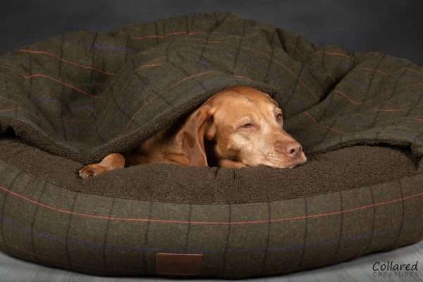 Collared Creatures Green Tweed Classic Comfort Cocoon Dog Bed close up
