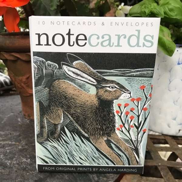 71725195 DDC4 4FF5 8649 3ECEF7CB51E0 Pack of 10 notecards containing 5 each of 2 different hare designs by Angela Harding Made in the UK Free postage included