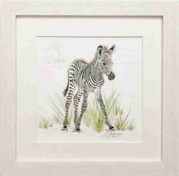 zebra print e1628511754408 Framed prints of African animals in a brushed whitewash frame. 14" x 14" with a white mount.  