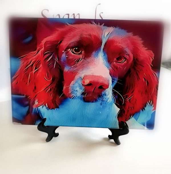 170502413 119206080257018 188377597554945645 n Glass Spaniel Place Mat Can be personalised Price includes postage and packing