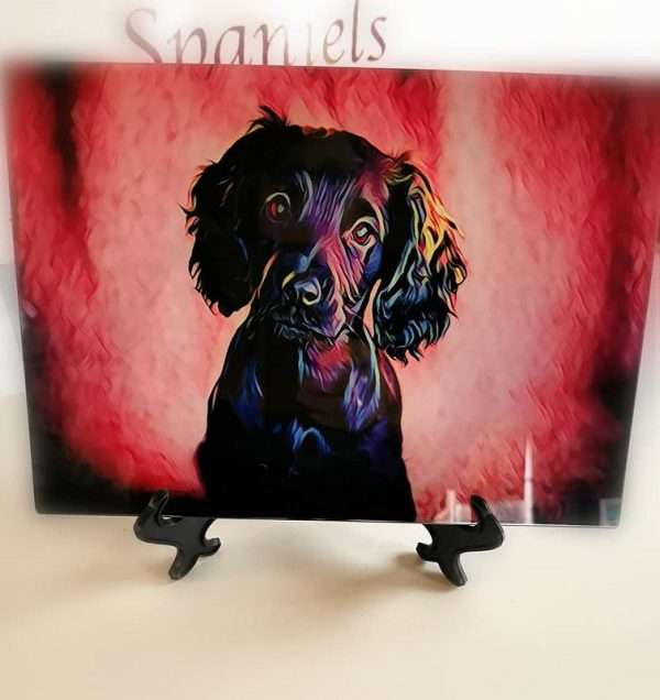 170748061 119206100257016 2660856696323552735 n Glass Spaniel Place Mat Can be personalised Price includes postage and packing