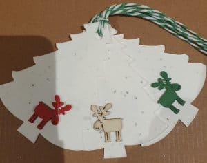 20211116 192254 These Christmas tree shaped gift labels have plenty of room to write on, each one has a printed message so that the receipient knows that the label can be planted.