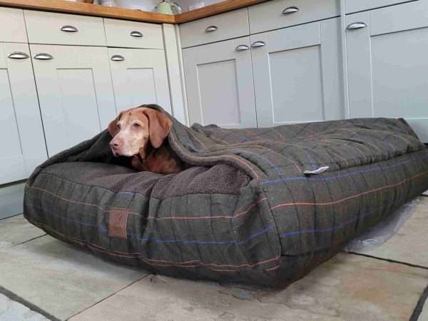 Collared Creatures Luxury Green Tweed Dog Snuggle Bed