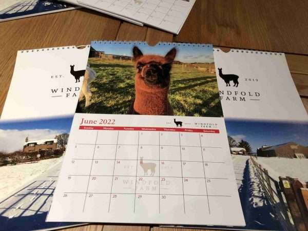 IMG 4942 scaled We have a great opportunity for our followers to purchase Calendars that feature all the animals of Windfold Farm. 🗓2022 A4 Calendars - One page per month with hanger🗓 The wall calendar features a collection of beautiful photographs of the animals of Windfold Farm. Each month has plenty of room to write special dates, birthdays and more on the calendar grid plus notes.