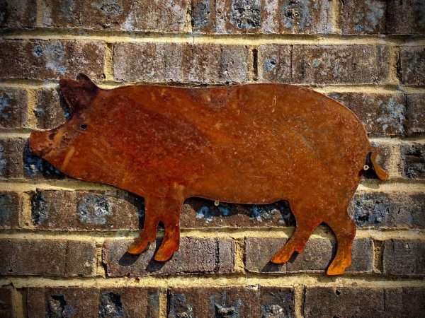 WELCOME TO THE RUSTIC GARDEN ART SHOPâ€¦â€¦ Here we have one of our. Large Exterior Rustic Rusty Pig Farm Animal Garden Wall Hanger House Gate Sign Hanging Metal Art Sculpture Sizes & Measurements:
50cm x 95cm Made From 2mm Mild Steel.