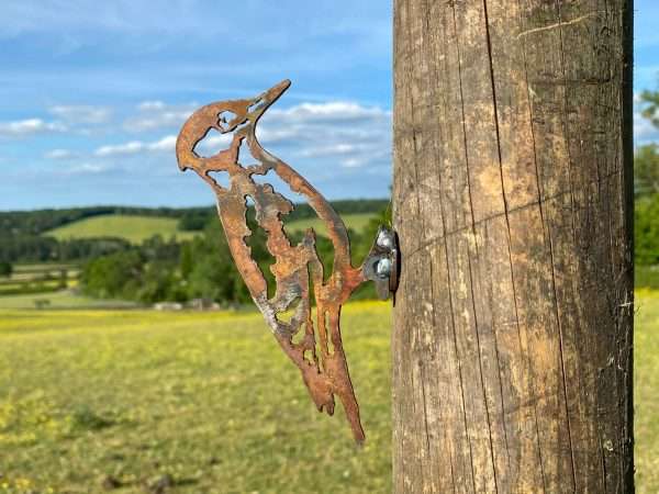 WELCOME TO THE RUSTIC GARDEN ART SHOP Here we have one of our. Exterior Rustic Rusty Metal Woodpecker Bird Garden Fence Topper Yard Art Gate Post Lawn Sculpture Gift Sizes & Measurements:
28cm x 17cm Made From 2mm Mild Steel.