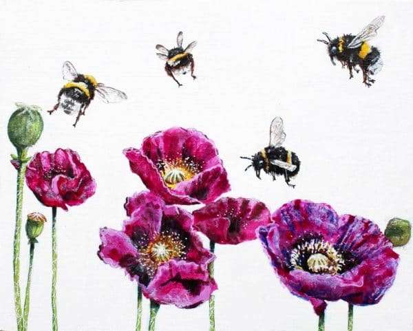 Bees Amongst the Cerise Poppies © Elizabeth Shewan The Artist and Clairvoyant