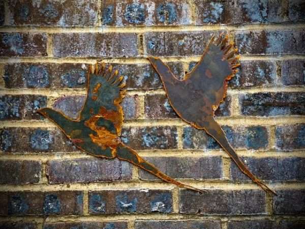 WELCOME TO THE RUSTIC GARDEN ART SHOP Here we have one of our. Small Exterior Pheasant Garden Wall House Gate Sign Hanging Metal Art **Single Pheasant** Sizes & Measurements:
46cm x 22cm Made From 2mm Mild Steel.