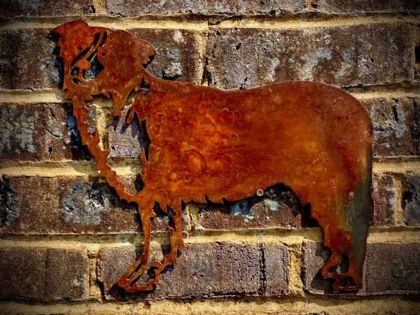 WELCOME TO THE RUSTIC GARDEN ART SHOP Here we have one of our. Small Exterior Rustic Rusty Collie Sheepdog Dog Garden Wall Hanger House Gate Sign Hanging Metal Art Sculpture Sizes & Measurements:
18cm x 21cm Made From 2mm Mild Steel.