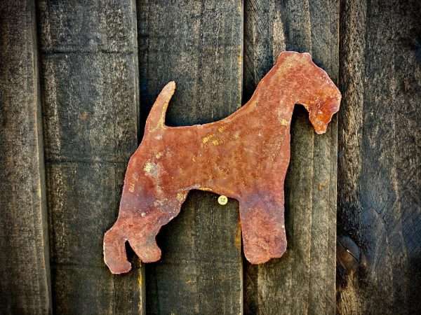 WELCOME TO THE RUSTIC GARDEN ART SHOP Here we have one of our. Medium Exterior Rustic Rusty Lakeland Terrier Dog Garden Wall Hanger House Gate Sign Hanging Metal Art Sculpture Sizes & Measurements:
30cm x 27cm Made From 2mm Mild Steel.