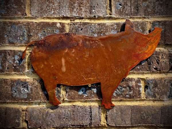 WELCOME TO THE RUSTIC GARDEN ART SHOP Here we have one of our. Large Exterior Rustic Rusty Pig Piggie Snout Farm Animal Garden Wall Hanger House Gate Sign Hanging Metal Art Sculpture Sizes & Measurements: 60cm x 39cm Made From 2mm Mild Steel.
