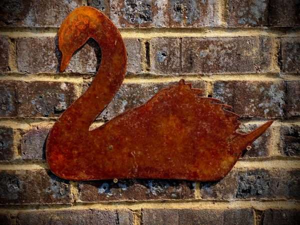 WELCOME TO THE RUSTIC GARDEN ART SHOP Here we have one of our. Small Exterior Rustic Rusty Swan Bird Garden Wall Hanger House Gate Sign Hanging Metal Art Sculpture Sizes & Measurements: 20cm x 16cm Made From 2mm Mild Steel.