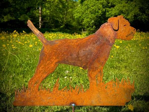 WELCOME TO THE RUSTIC GARDEN ART SHOP Here we have one of our. Small Rustic Metal Exterior Rusty Border Terrier Dog Garden Art Sculpture Sizes & Measurements: 48cm x 36cm Made From 2mm Mild Steel.