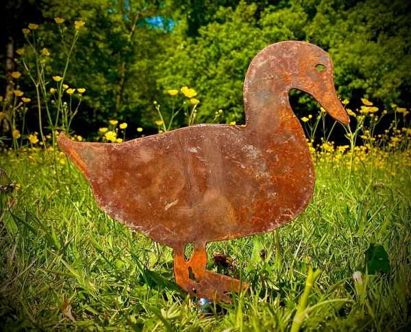WELCOME TO THE RUSTIC GARDEN ART SHOP Here we have one of our. Medium Rustic Metal Exterior Rusty Duck Garden Stake Art Sculpture Sizes & Measurements: 30cm x 29cm Made From 2mm Mild Steel.
