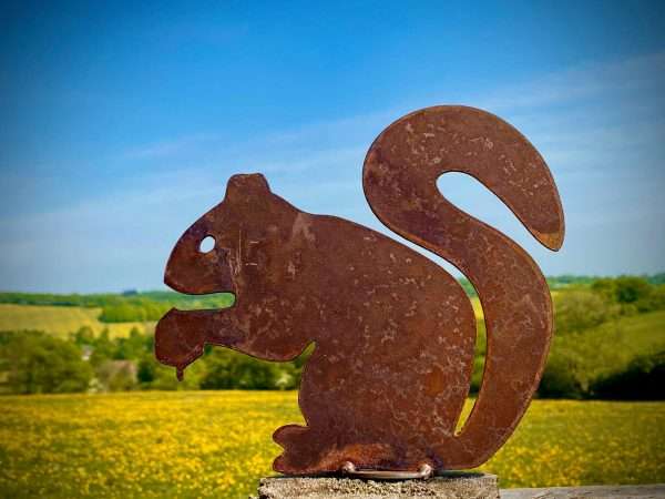 WELCOME TO THE RUSTIC GARDEN ART SHOP Here we have one of our. Medium Exterior Rustic Rusty Metal Squirrel Garden Stake / Fence Topper Art Sculpture Made from 2mm Mild Steel. Measurements: 18cm x 20cm Made From 2mm Mild Steel.