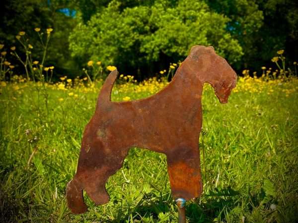 WELCOME TO THE RUSTIC GARDEN ART SHOP Here we have one of our. Small Exterior Rustic Rusty Metal Lakeland Terrier Dog Garden Stake Art Sculpture Gift Sizes & Measurements: 19cm x 17cm Made From 2mm Mild Steel.