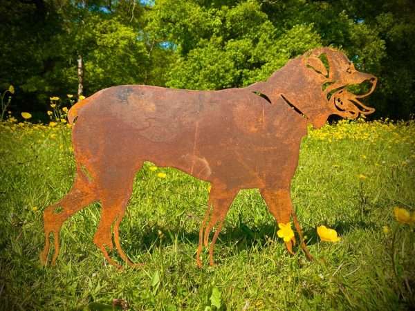 WELCOME TO THE RUSTIC GARDEN ART SHOP Here we have one of our. Exterior Rustic Rusty Metal Rottweiller Walking Dog Garden Stake Art Sculpture Gift Sizes & Measurements:
60cm x 40cm These are made from 4mm mild steel sheet.