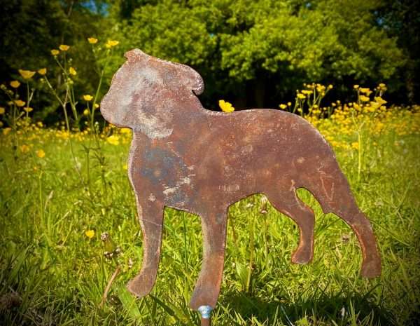 WELCOME TO THE RUSTIC GARDEN ART SHOP Here we have one of our. Large Exterior Rustic Rusty Metal Staffordshire Bull Terrier Dog Garden Stake Art Sculpture Gift Sizes & Measurements: 45cm x 45cm Made From 2mm Mild Steel.