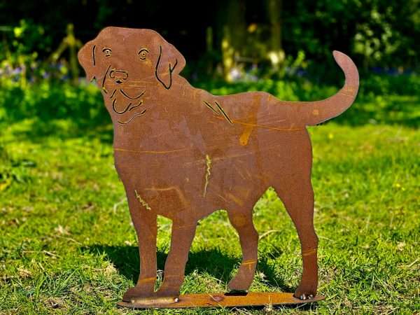 WELCOME TO THE RUSTIC GARDEN ART SHOP Here we have one of our. Rustic Metal Labrador Dog Garden Art Sculpture Sizes & Measurements:
59cm x 57cm Made From 2mm Mild Steel.